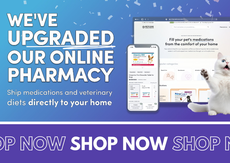 Carousel Slide 3: Check out our new and improved online pharmacy